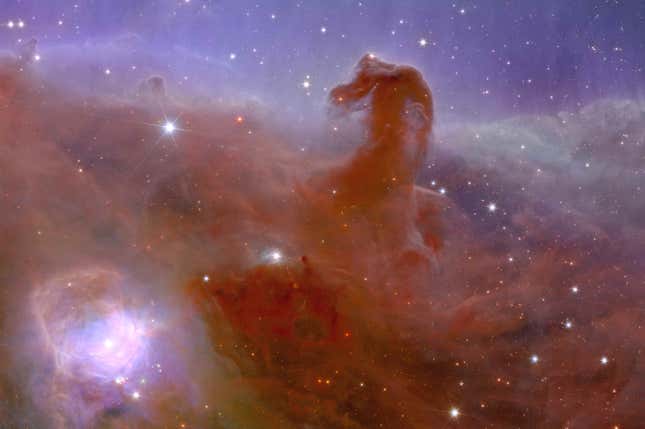 The Euclid telescope captured this view of the Horsehead Nebula in 2023. 