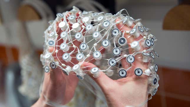 A ‘Geodesic Sensor Net,’ used to obtain a highly detailed EEG reading. 