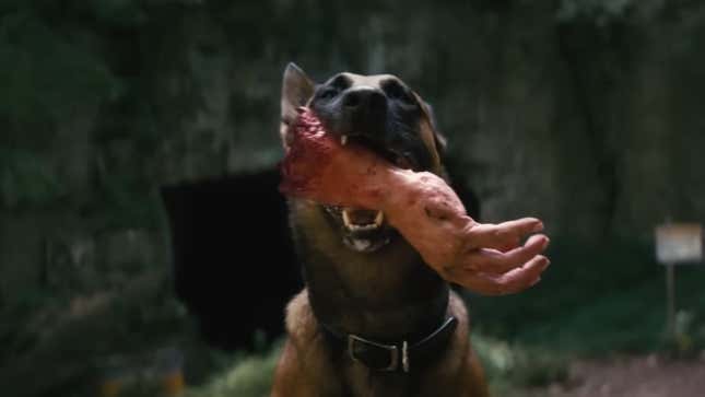 A dog holds a severed human hand in its mouth.