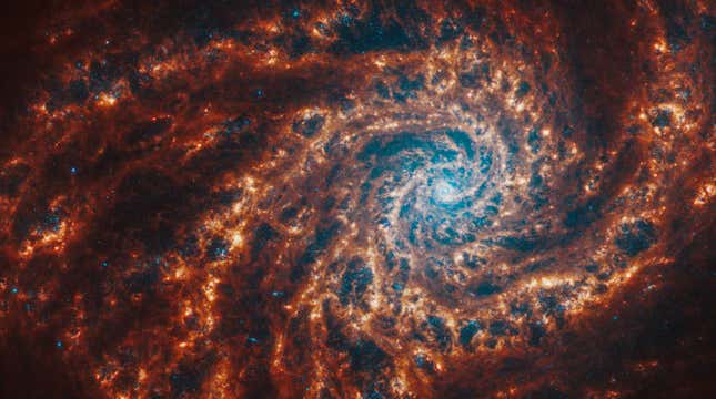 Image for article titled See Webb Telescope's 'Mind-Blowing' Collection of Spiral Galaxy Images