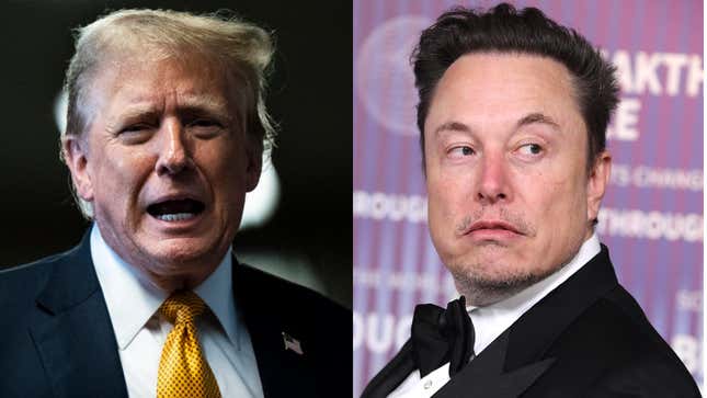 Donald Trump at his criminal trial in New York on May 29, 2024 (left) and Elon Musk at the Academy Museum of Motion Pictures on April 13, 2024 in Los Angeles, California.
