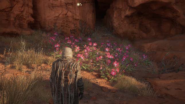 A full Dew Field in Dune: Awakening.