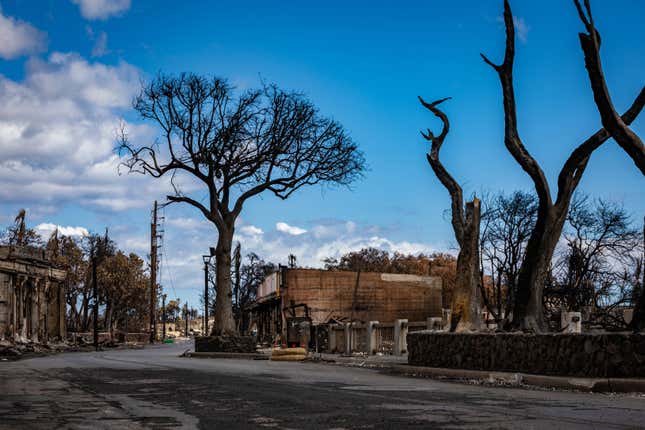 Trees charred by the Maui wildfires stand near the shell of a building in Lahaina, Hawaii, U.S. August 15, 2023.