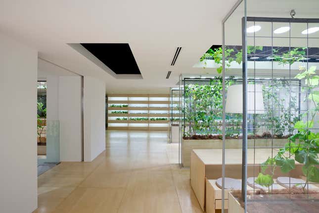 Trellises full of squash provide division between meeting areas