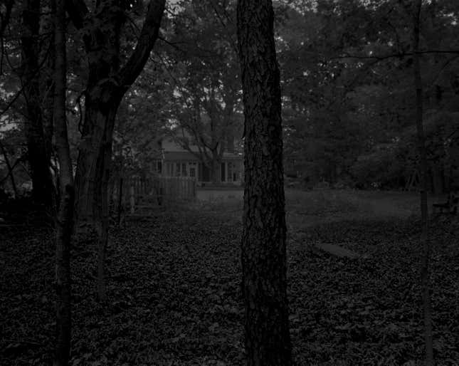 Untitled #2 (Trees and Farmhouse)