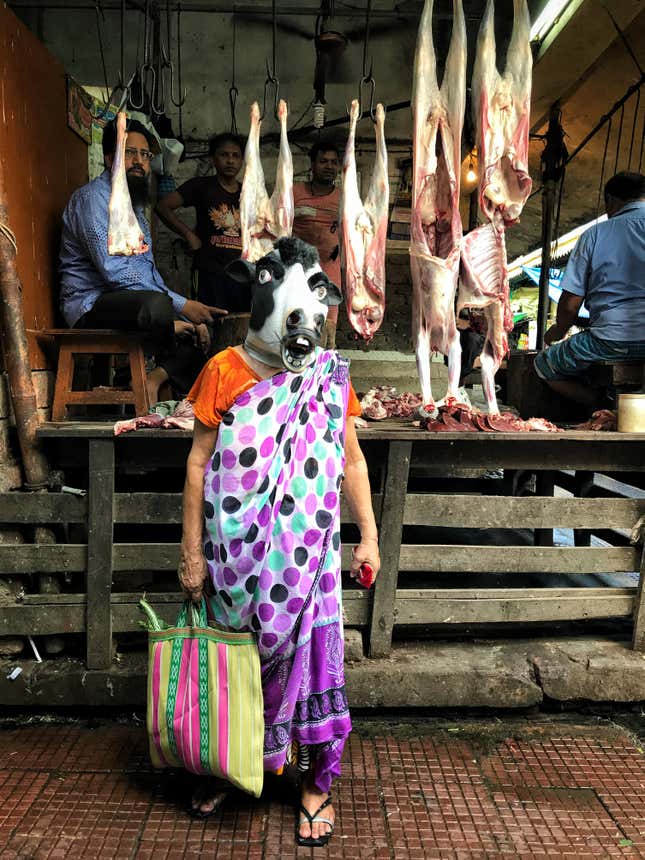 Image for article titled A striking photo project asks why India is better at protecting its cows than its women