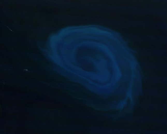 Image for article titled The surreal swirls of ocean plankton blooms, seen from space