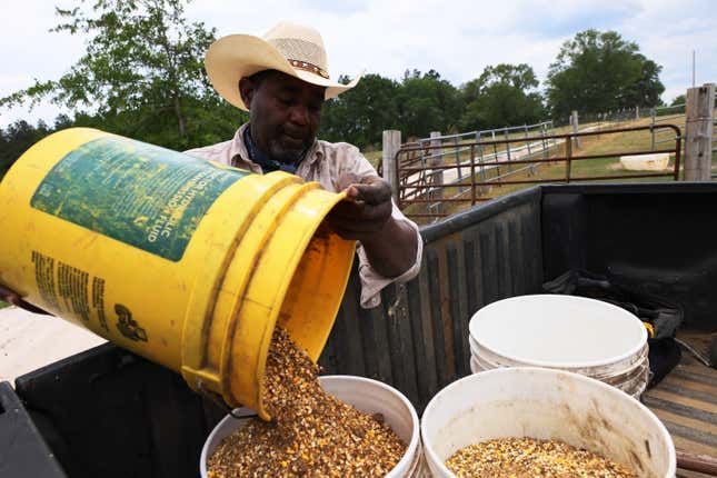 Image for article titled Black Farmers Call a Letter Sent by Banks to the USDA Warning Against Debt Forgiveness a Threat