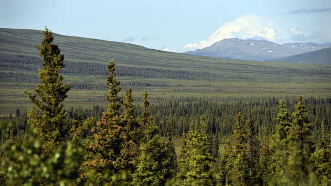 A photo of the Alaskan wilderness. 