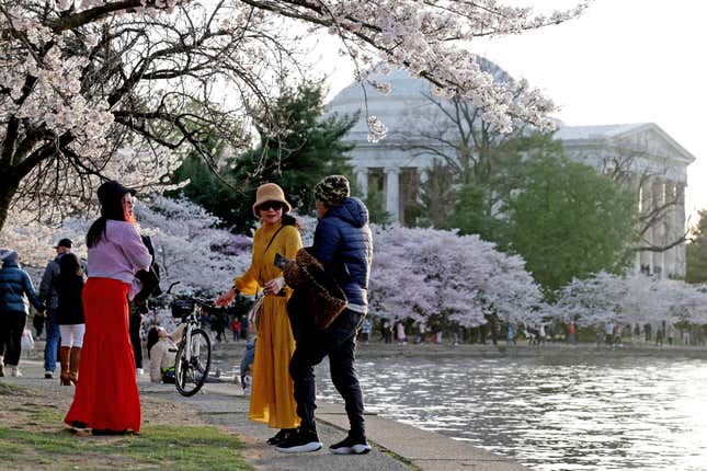 Image for article titled The 9 best spring travel destinations in America