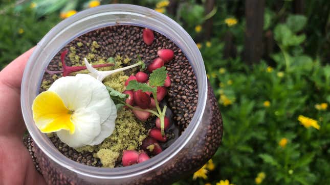 Chocolate Pudding Terrarium