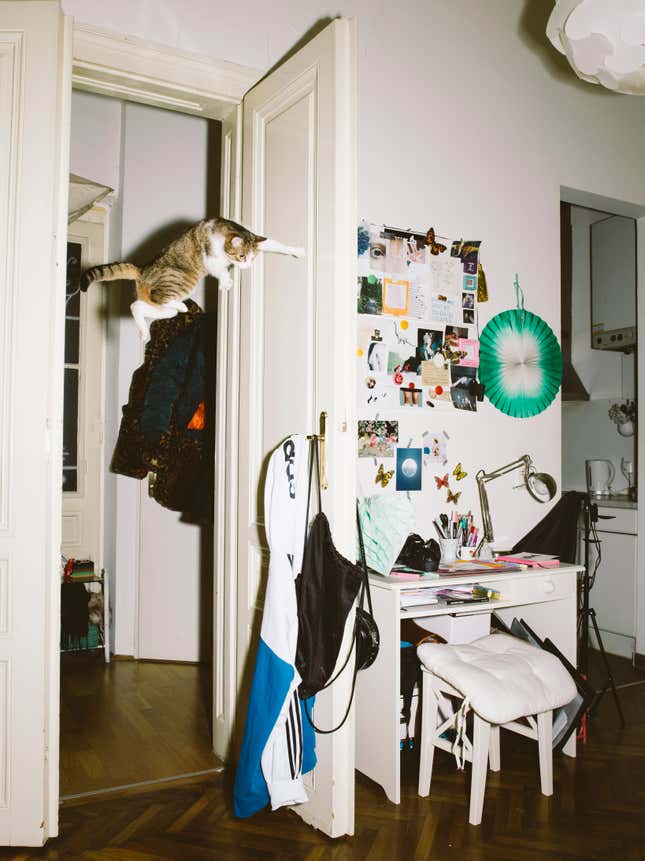 Image for article titled What cats do when we’re not watching