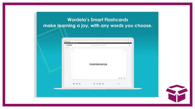 The program makes mastering new vocabulary easy and fun.