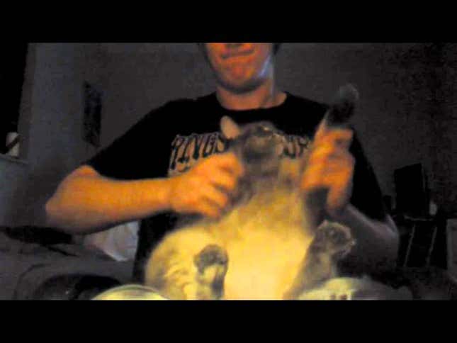 Death Metal Fat Cat is Keyboard Cat gone metal