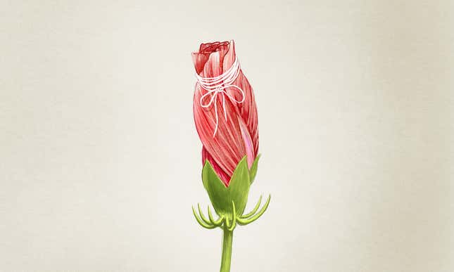 Illustration by Jim Cooke.