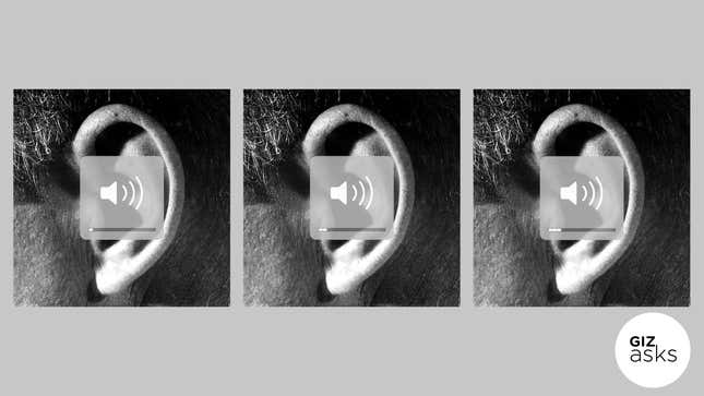 Image for article titled Can You Train Your Ears to Become More Sensitive?