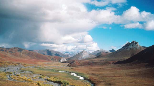 The magical Arctic National Wildlife Refuge.