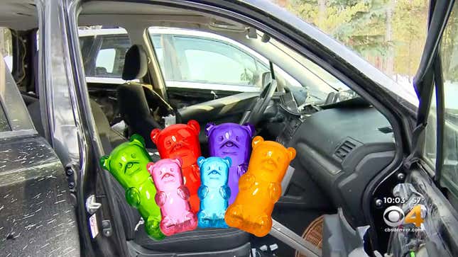 Image for article titled Bear Breaks Into Subaru to Eat Miniature Candy Versions of Itself