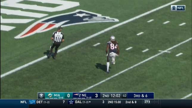 Ass Team Of The Week: Do Not Ever Feel That You Must Respect The Dolphins