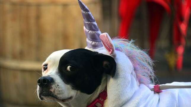 Let's Remember Some Mythical Creatures