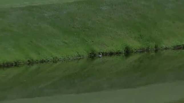 Now It's Bubba Watson Who Carded A 10 On Augusta National's Par-3 12th