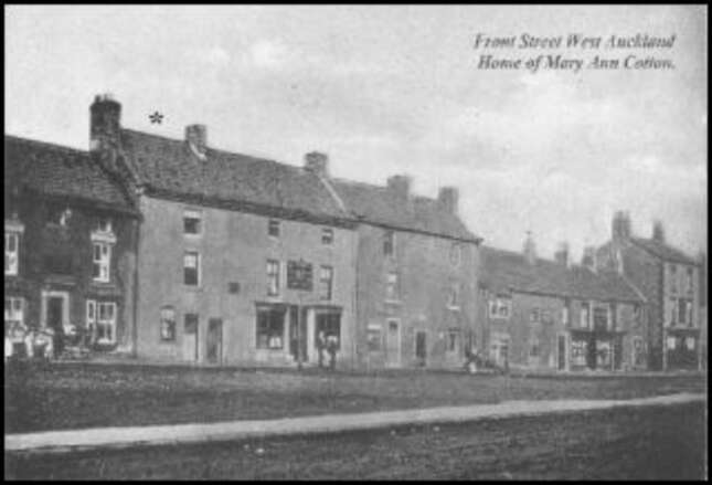 Image for article titled ​The Big Book of Female Killers: Mary Ann Cotton, the Arsenic Queen