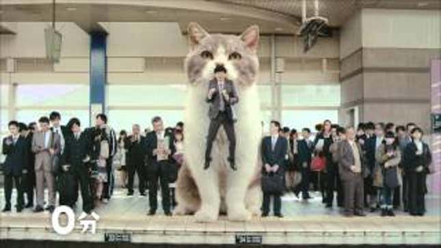 I Want a Giant Cat To Carry Me To Work, Too