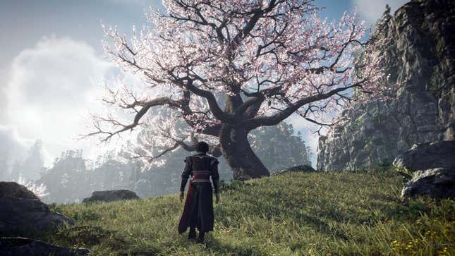 A screenshot of Dynasty Warriors: Origins. The protagonist walks up a grassy hill towards a tree with pink leaves