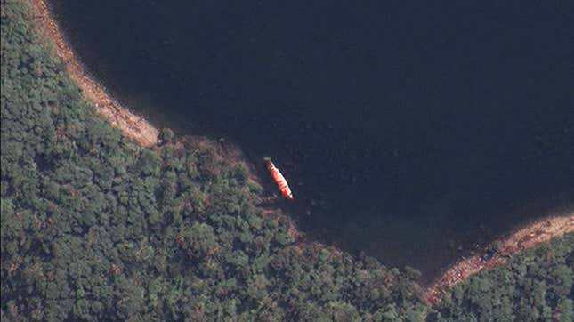 A dead stranded whale in a satellite image