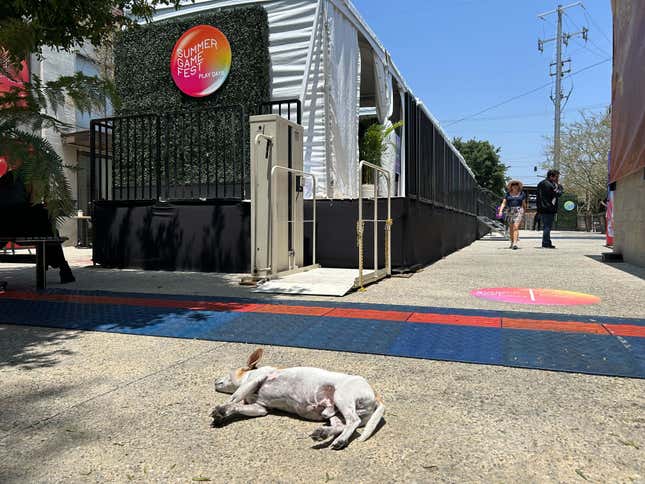 Trooper the dog lies in a sun spot at Summer Game Fest.