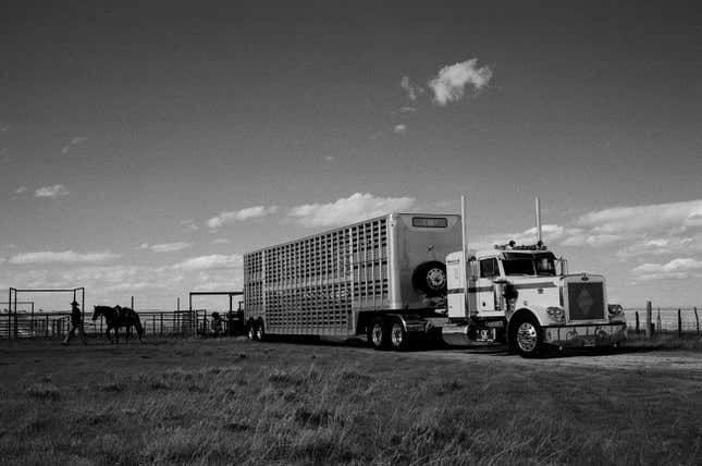 Image for article titled Fashion Photographer Captures the Most Beautiful Big-Rigs on Earth