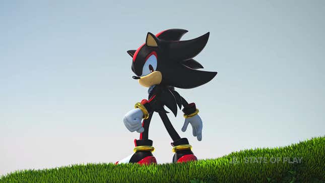 Shadow is shown standing on some grass.