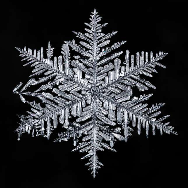 A photographer’s scientific approach to shooting snowflakes reveals ...