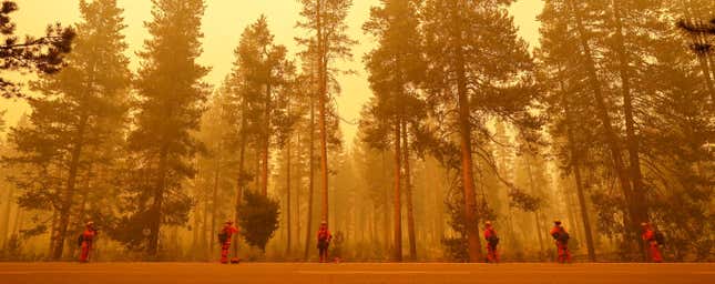 Members of the California Department of Corrections and Rehabilitation Vallecito Fire Crew watch a section of road for spot fires to slow the spread of the Dixie Fire, a wildfire near the town of Westwood, California.