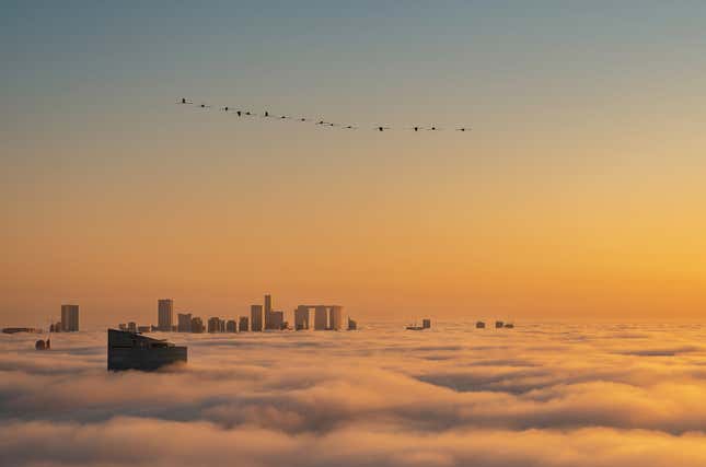 A line of flamingos flying over the Abu Dhabi skyline.
