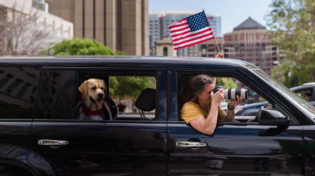 The only acceptable backseat driver is a dog.