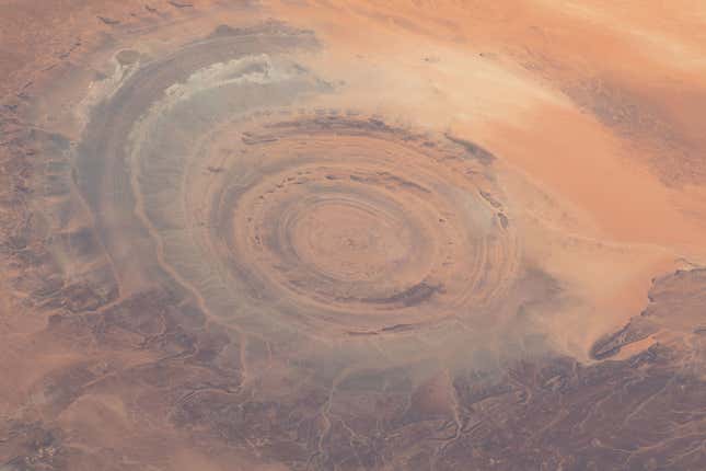 Image for article titled A New Lunar Lander and Robot Snakes Are Just Some of the Best Spaceflight Images From May