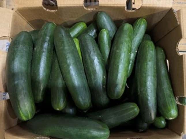 The cucumbers that are potentially making people sick, in a photo distributed by the FDA about the recall.