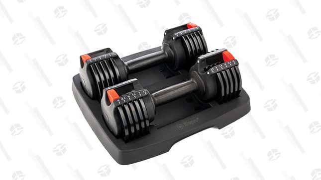 LifePro PowerUp Adjustable Dumbbells Set | $170 | StackSocial