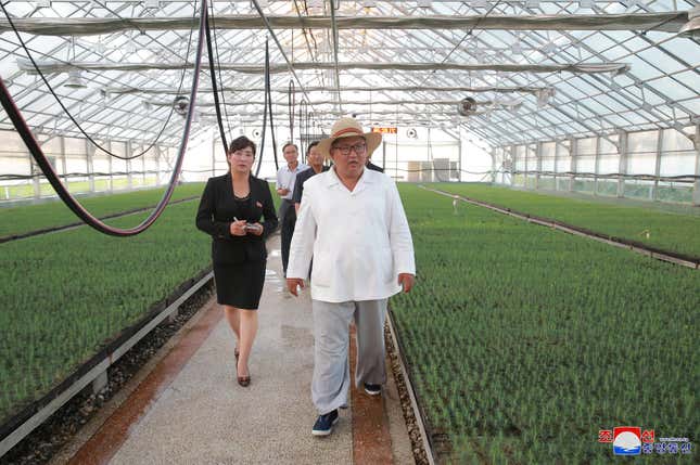 Kim tours a nursery in Kangwon Province.