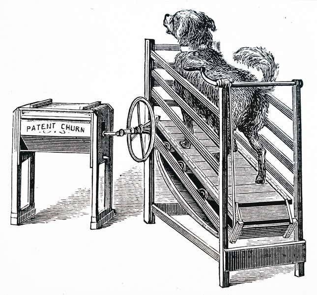 Engraving depicting a butter churn powered by a dog running on a treadmill in the 19th century.