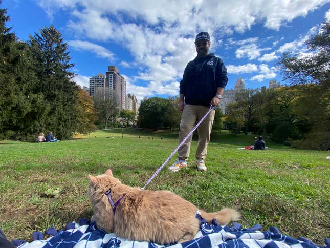 Clio the cat in Central Park