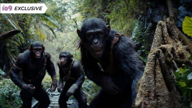Kingdom of the Planet of the Apes actors went to ape school.