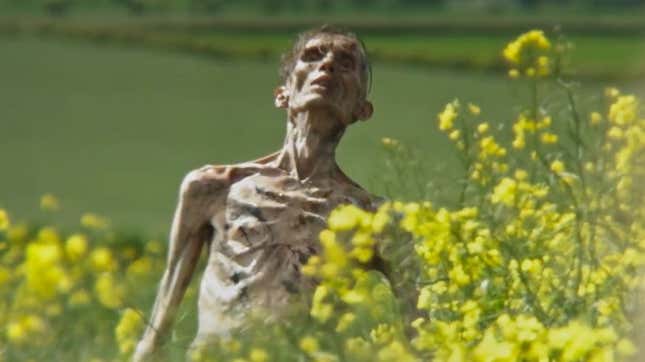 A zombie appears in a field of wild flowers. 