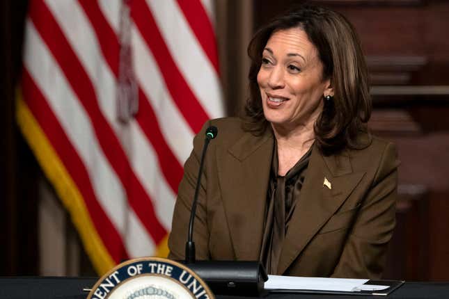 Vice President Kamala Harris speaks as she meets with voting rights leaders, in the Indian Treaty Room, Tuesday, Feb. 27, 2024, of the Eisenhower Executive Office Building on the White House complex in Washington. (AP Photo/Jacquelyn Martin)