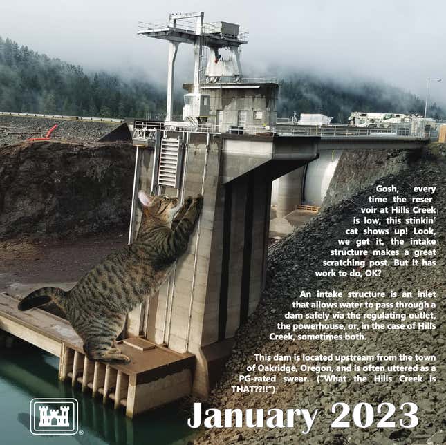 Image for article titled The Army Corps of Engineers Made a 2023 Cat Calendar, and It&#39;s Glorious