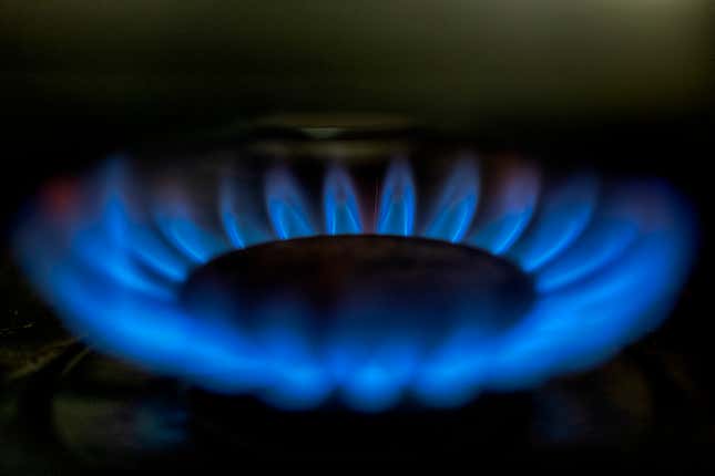 A gas-lit flame burns on a natural gas stove on Tuesday, March 26, 2024. The city of Berkeley, California, has agreed to halt enforcement of a ban on natural gas piping in new homes and buildings that was successfully opposed in court by the California Restaurant Association. (AP Photo/Richard Vogel)