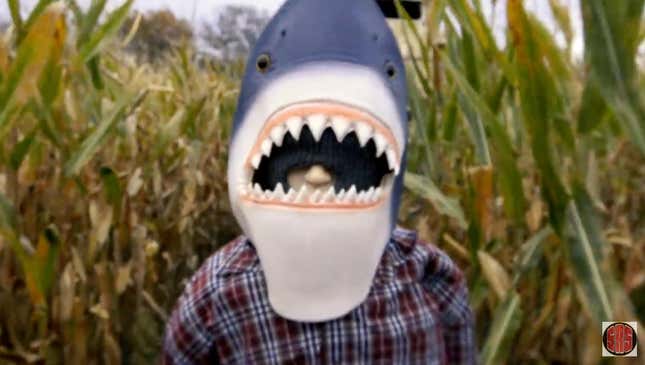 A man stands in a cornfield wearing a shark mask in the low-budget horror movie Sharks of the Corn.