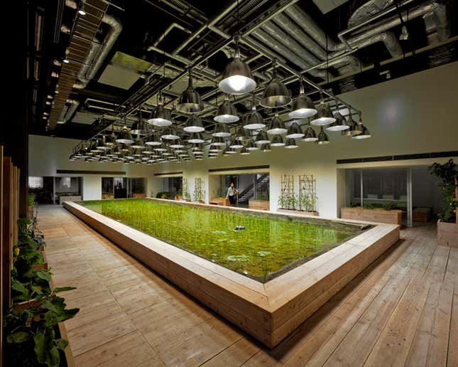 The lobby, while very comfortable for rice, may not be worker-friendly