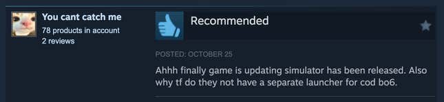 A Steam review reading, "Ahhh finally game is updating simulator has been released. Also why tf do they not have a separate launcher for cod bo6."